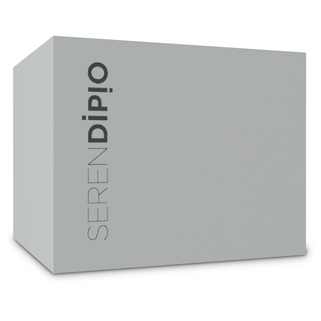 Serendipio Camden Ceramic Coffee Mug - 400ml